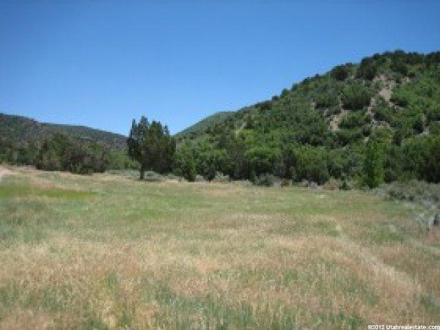 1 Little Salt Crk, Levan, UT 84639 — photo 2