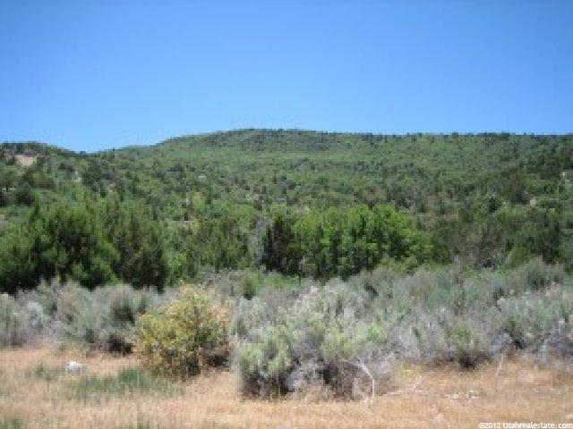1 Little Salt Crk, Levan, UT 84639 — photo 3