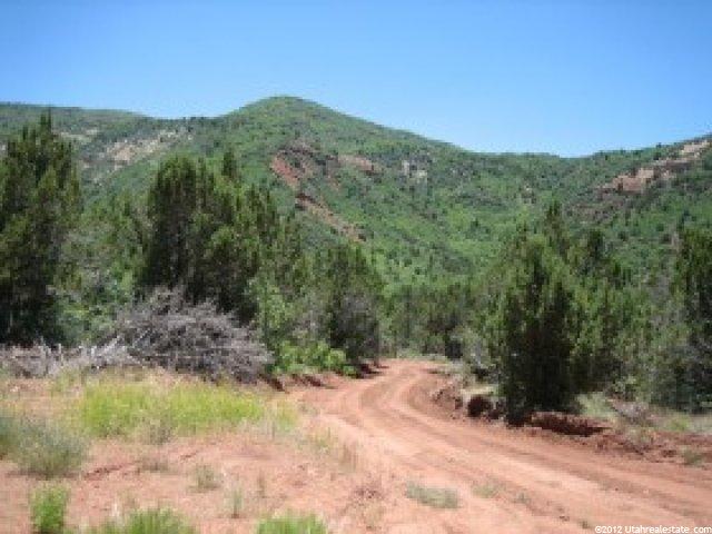 1 Little Salt Crk, Levan, UT 84639 — photo 4