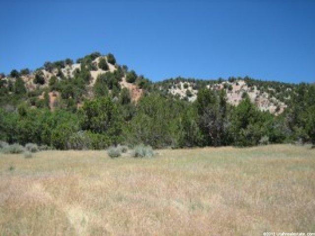 1 Little Salt Crk, Levan, UT 84639 — photo 6