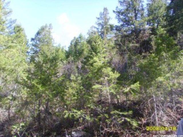 36 S Samak Park E #36, Kamas, UT 84036 — photo 4