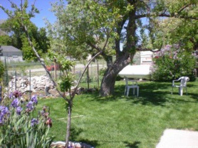 14 W Main, Eureka, UT 84628 — photo 5