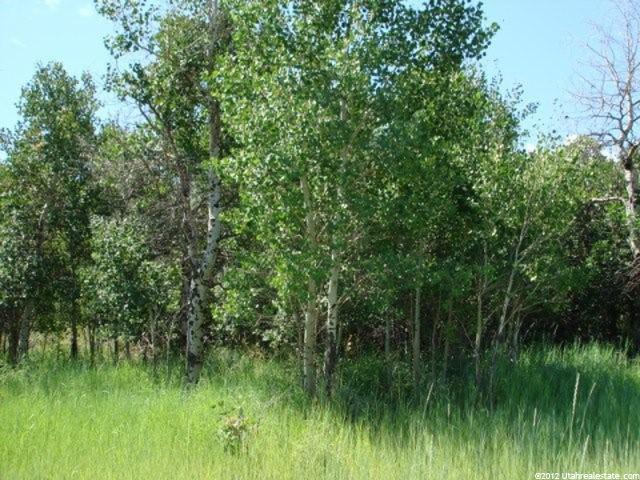2801 Spring Hl #30, Wanship, UT 84017 — photo 3