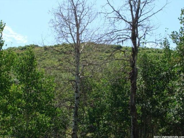 2801 Spring Hl #30, Wanship, UT 84017 — photo 4