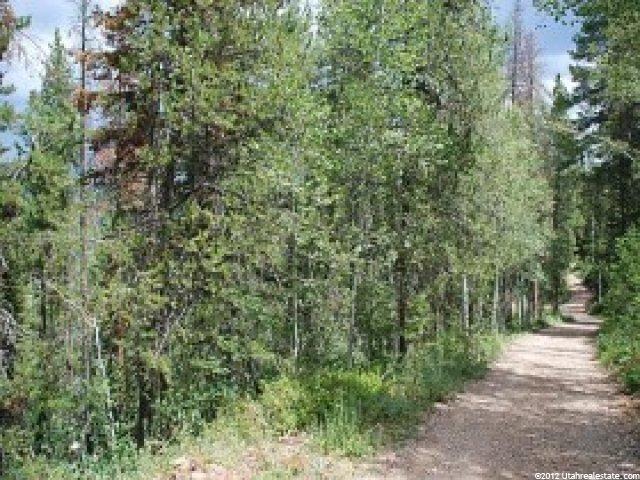 6282 E Cougar Ln #24, Woodland, UT 84036 — photo 2