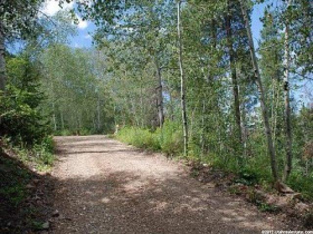 6282 E Cougar Ln #24, Woodland, UT 84036 — photo 3