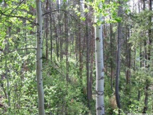 6282 E Cougar Ln #24, Woodland, UT 84036 — photo 6