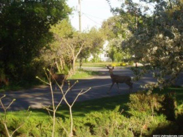 2692 E Gentile St, Layton, UT 84040 — photo 9