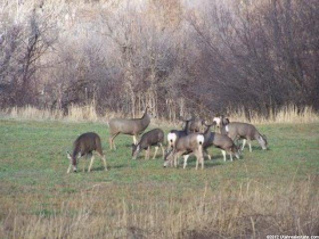 4019 S 4650 E #3, Franklin, ID 83237 — photo 6
