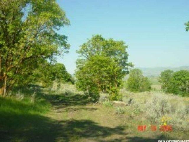 1668 E 13000 N #4, Cove, UT 84320 — photo 2