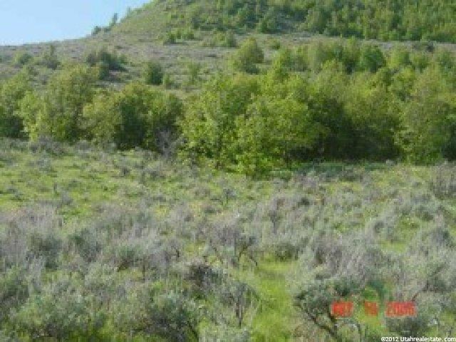 1668 E 13000 N #4, Cove, UT 84320 — photo 7