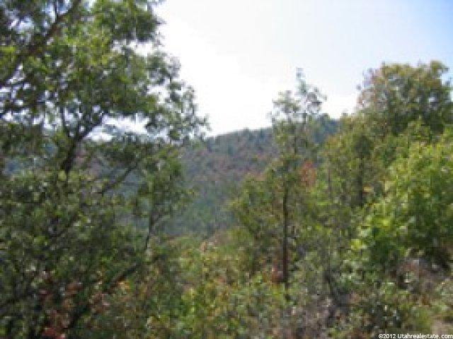 144 Willow Ln #144, Midway, UT 84049 — photo 2