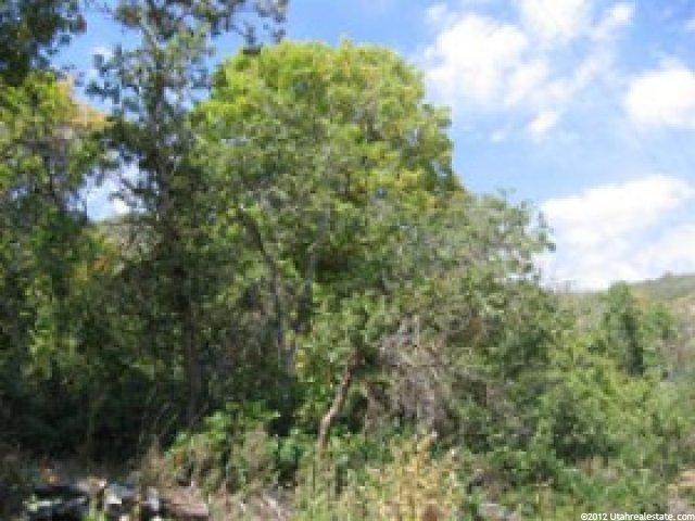 144 Willow Ln #144, Midway, UT 84049 — photo 5