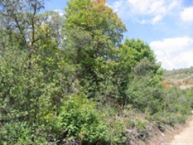 144 Willow Ln #144, Midway, UT 84049 — photo 6