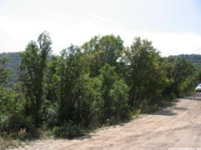 144 Willow Ln #144, Midway, UT 84049 — photo 7