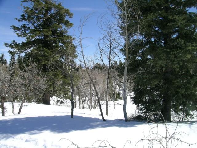 1050 E Pine Meadow Dr #138, Wanship, UT 84017 — photo 3