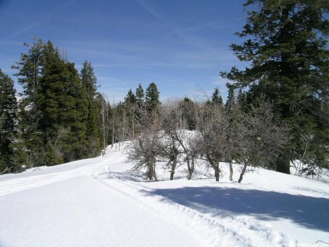 1050 E Pine Meadow Dr #138, Wanship, UT 84017 — photo 4