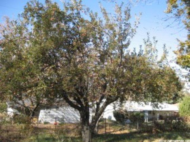 1521 N 300 W, Sunset, UT 84015 — photo 2