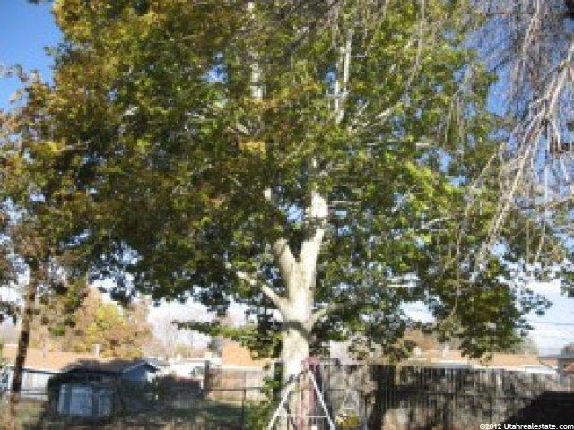1521 N 300 W, Sunset, UT 84015 — photo 3
