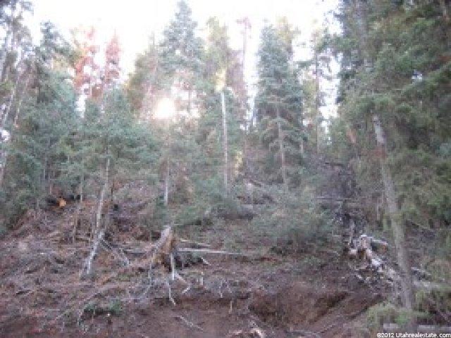 71 Acres #71, Mt Pleasant, UT 84647 — photo 2