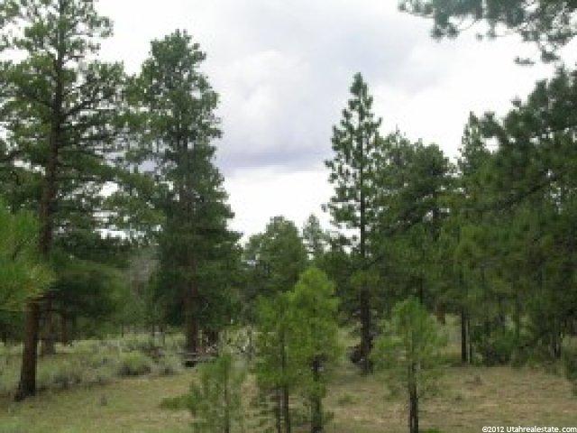 3 Happy Valley Rd #3, Grover, UT 84773 — photo 2