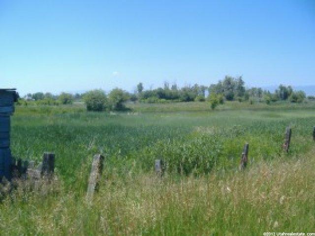 489 3rd St, Dingle, ID 83233 — photo 3