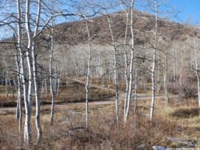 32 Escalante #32, Oakley, UT 84055 — photo 11
