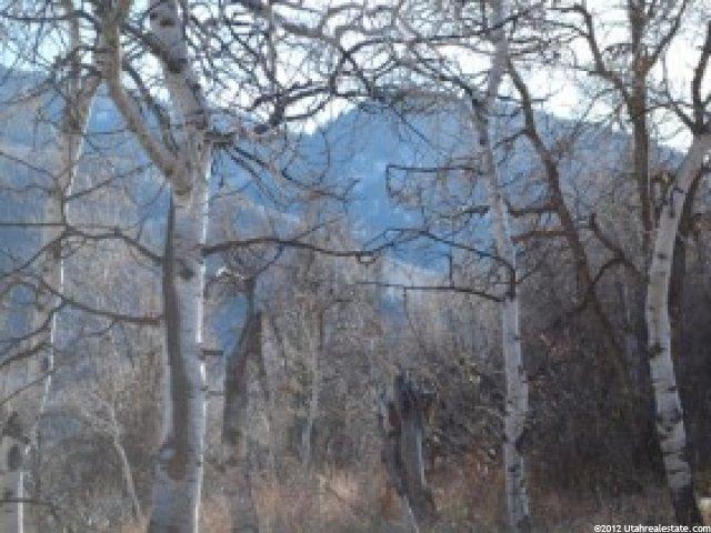 32 Escalante #32, Oakley, UT 84055 — photo 5