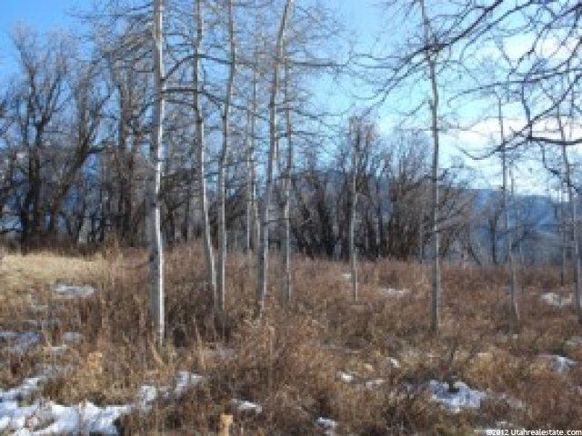 32 Escalante #32, Oakley, UT 84055 — photo 7