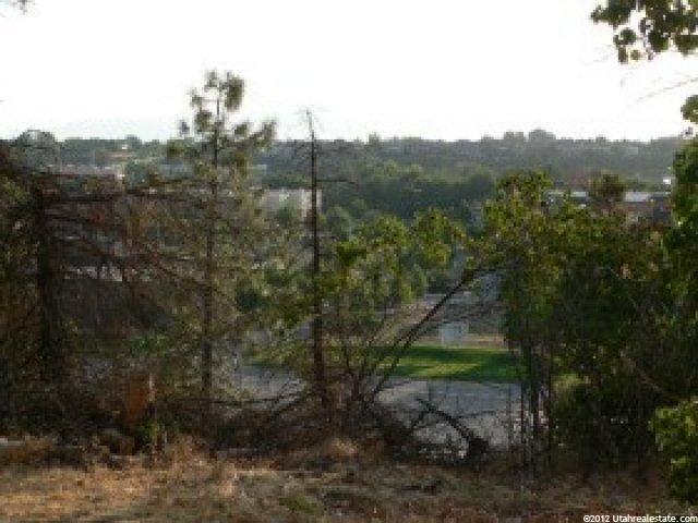 5145 N Canyon Rd, Provo, UT 84604 — photo 2