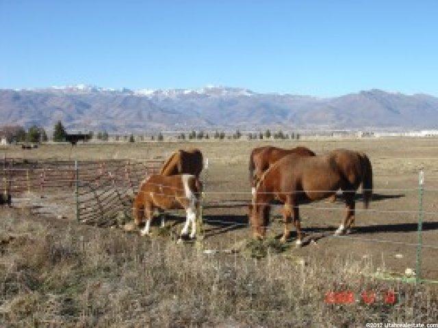 550 W 3000 S, Daniel, UT 84032 — photo 12