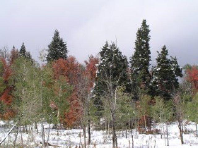 155 Porcupine Loop #D-17, Wanship, UT 84017 — photo 2