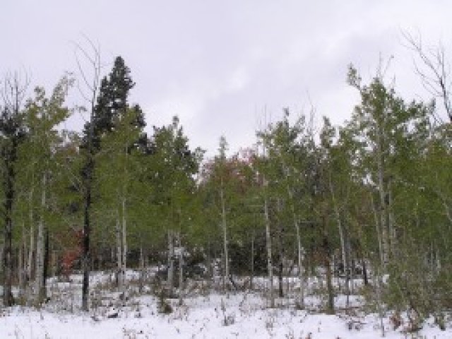 155 Porcupine Loop #D-17, Wanship, UT 84017 — photo 7