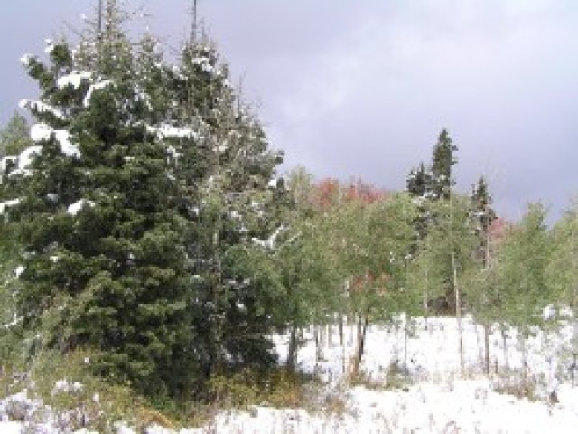 155 Porcupine Loop #D-17, Wanship, UT 84017 — photo 8