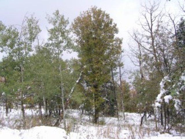155 Porcupine Loop #D-17, Wanship, UT 84017 — photo 4