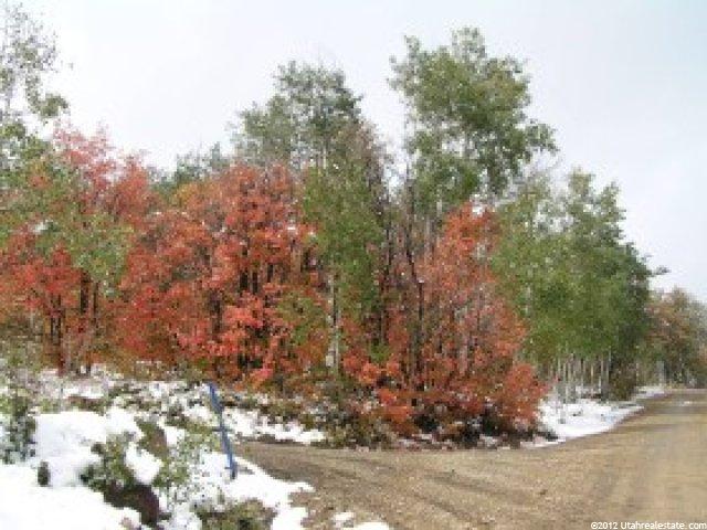 155 Porcupine Loop #D-17, Wanship, UT 84017 — photo 6