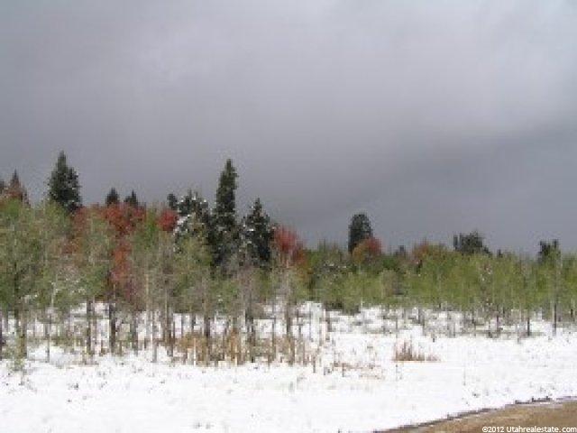 155 Porcupine Loop #D-17, Wanship, UT 84017 — photo 9