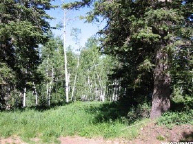 155 Porcupine Loop #D-17, Wanship, UT 84017 — photo 10