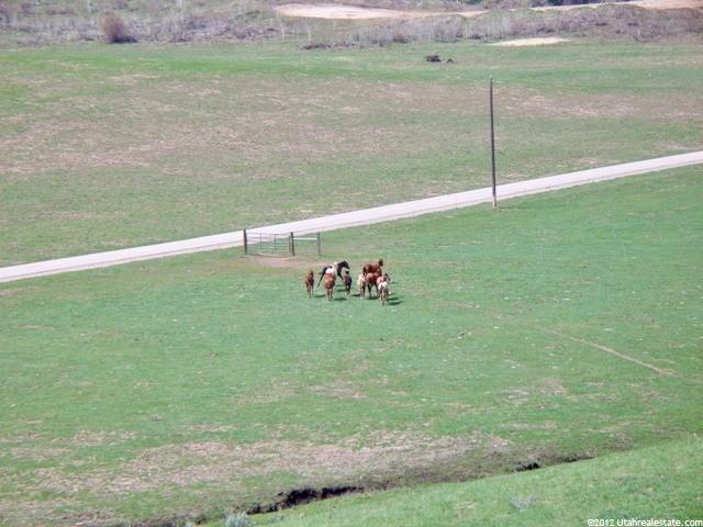 1657 W Buckskin Rd, Inkom, ID 83245 — photo 3