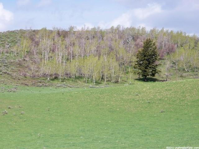 1657 W Buckskin Rd, Inkom, ID 83245 — photo 5