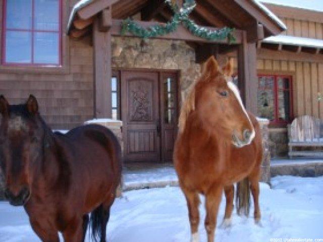 7175 River Valley Rd, Peoa, UT 84061 — photo 6