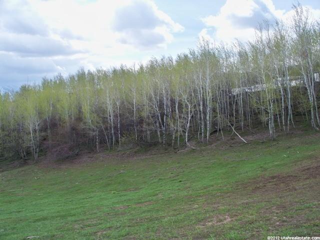 1657 W Buckskin Rd, Inkom, ID 83245 — photo 6