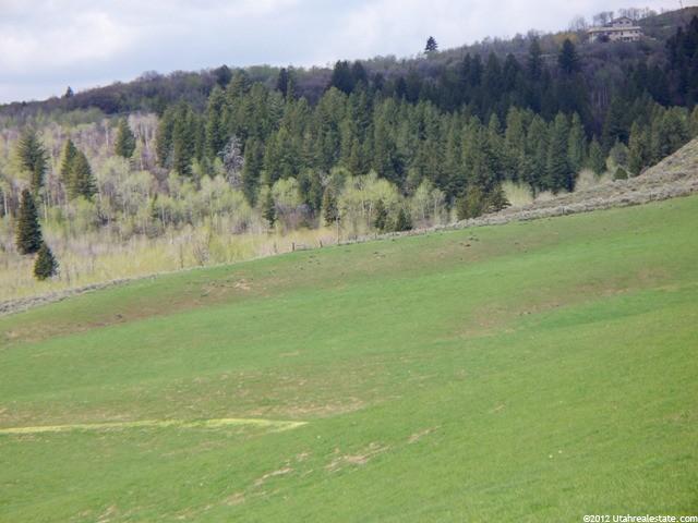 1657 W Buckskin Rd, Inkom, ID 83245 — photo 7