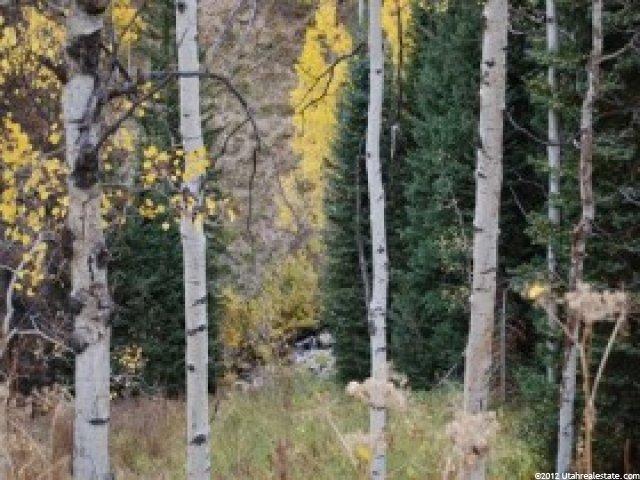 11673 E Aspen Rd S #418, Heber City, UT 84032 — photo 2