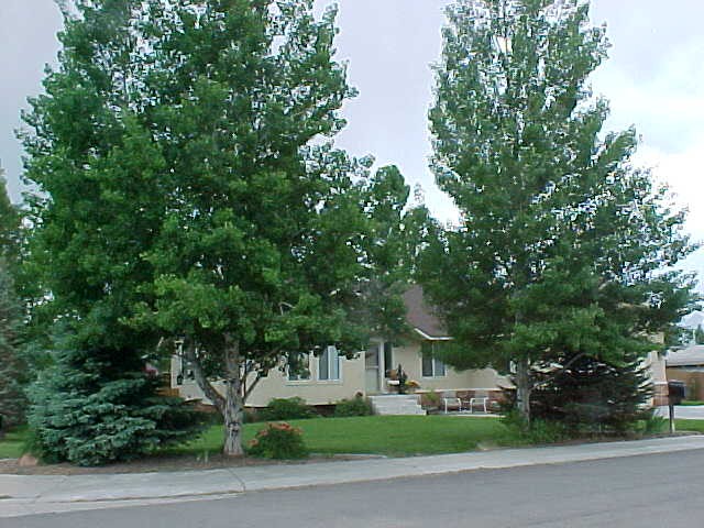 748 E 550 N, Heber City, UT 84032 — photo 8