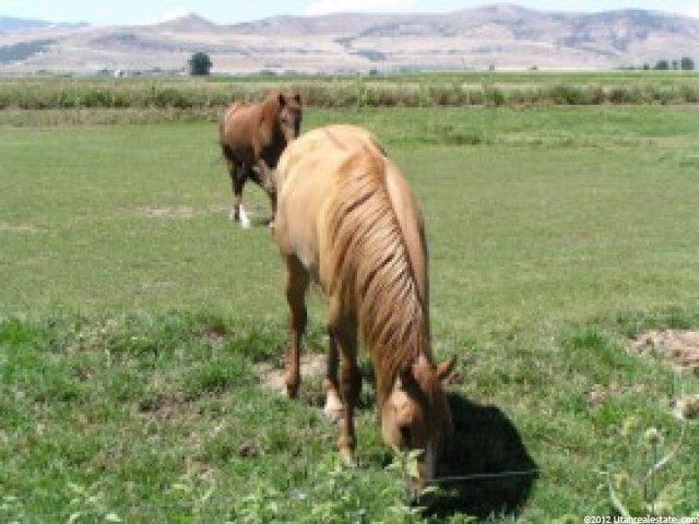 325 S 1600 W, Lewiston, UT 84320 — photo 11