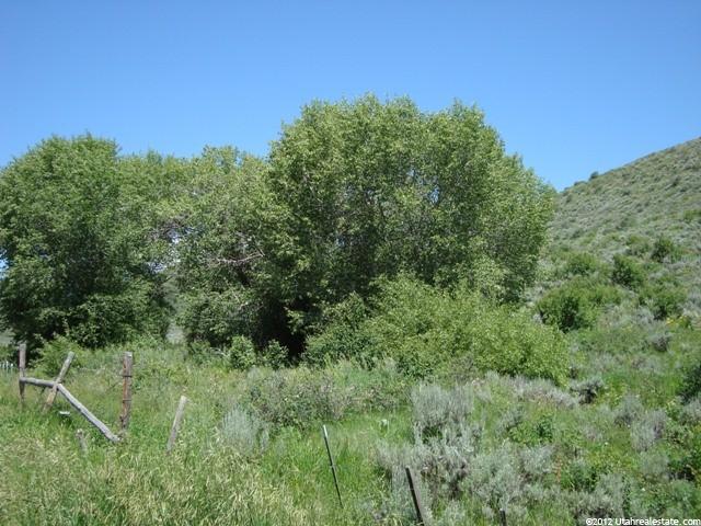 3 Lake Pointe Dev #3, Bern, ID 83220 — photo 5