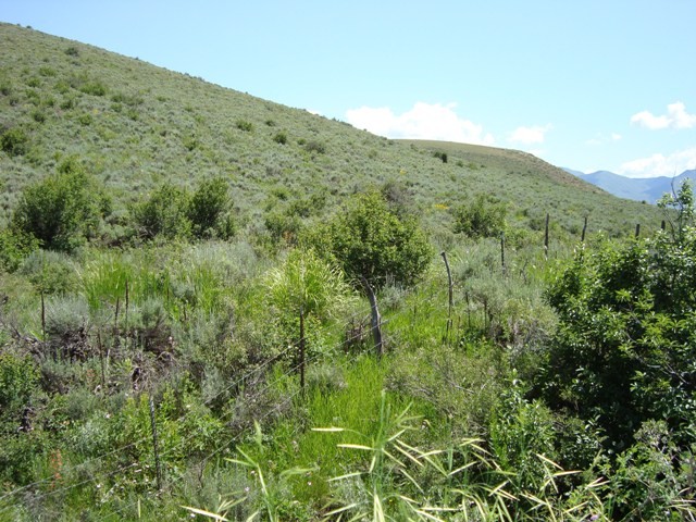 3 Lake Pointe Dev #3, Bern, ID 83220 — photo 6