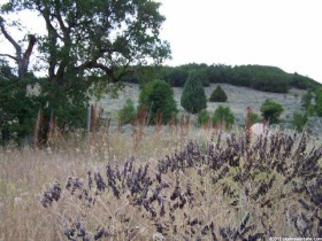 5024 E Snowflake Dr #23, Eden, UT 84310 — photo 6