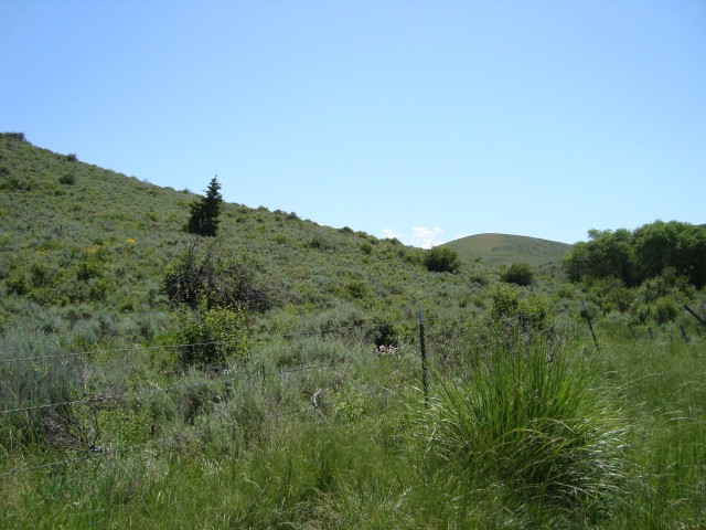 45 Lake Pointe Dev #4, 5, Bern, ID 83220 — photo 5